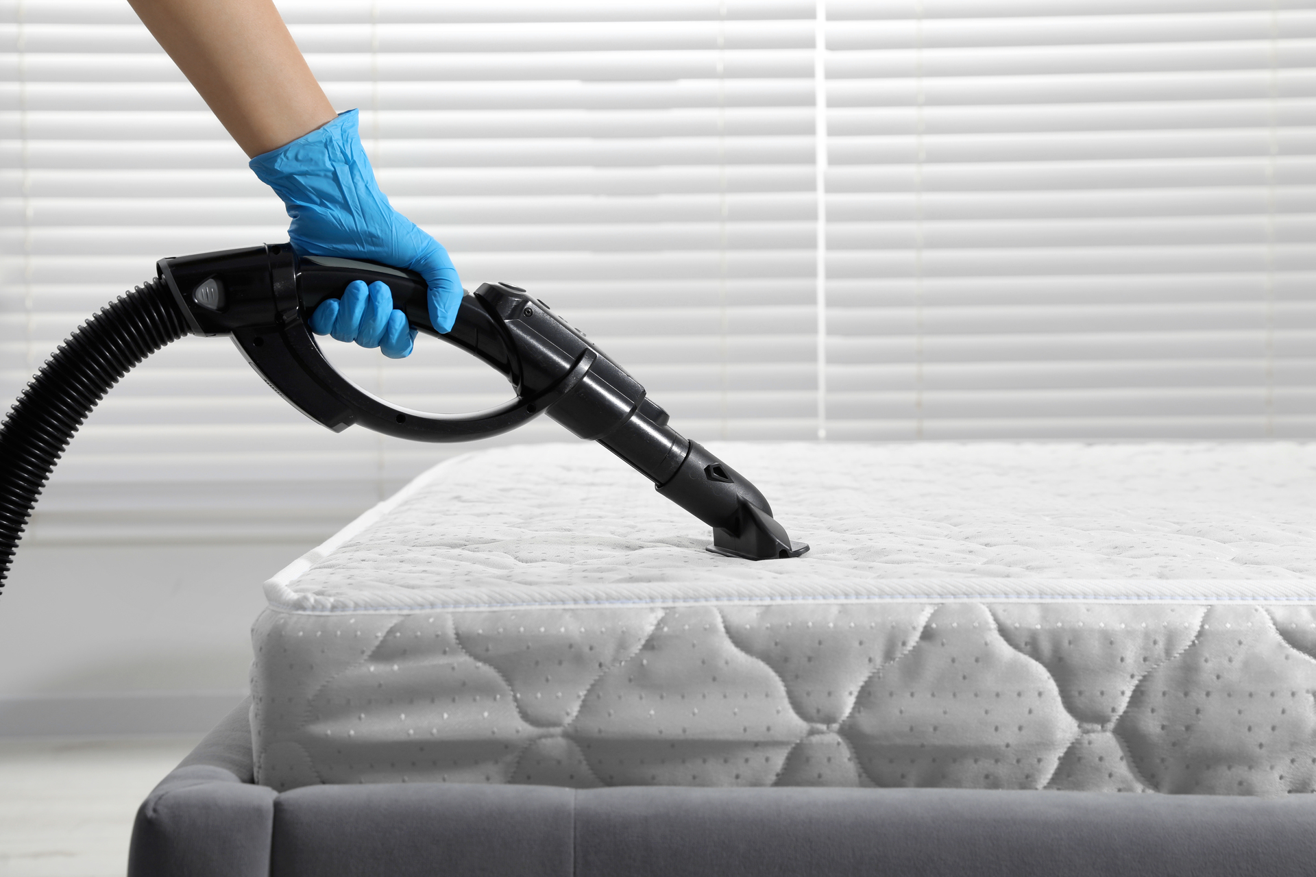Carpet & Upholstery Cleaning: Mattress Cleaning & Sanitization